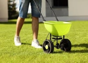 Grass Seeding Services in Southern MD