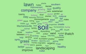 landscaping company southern md better lawn